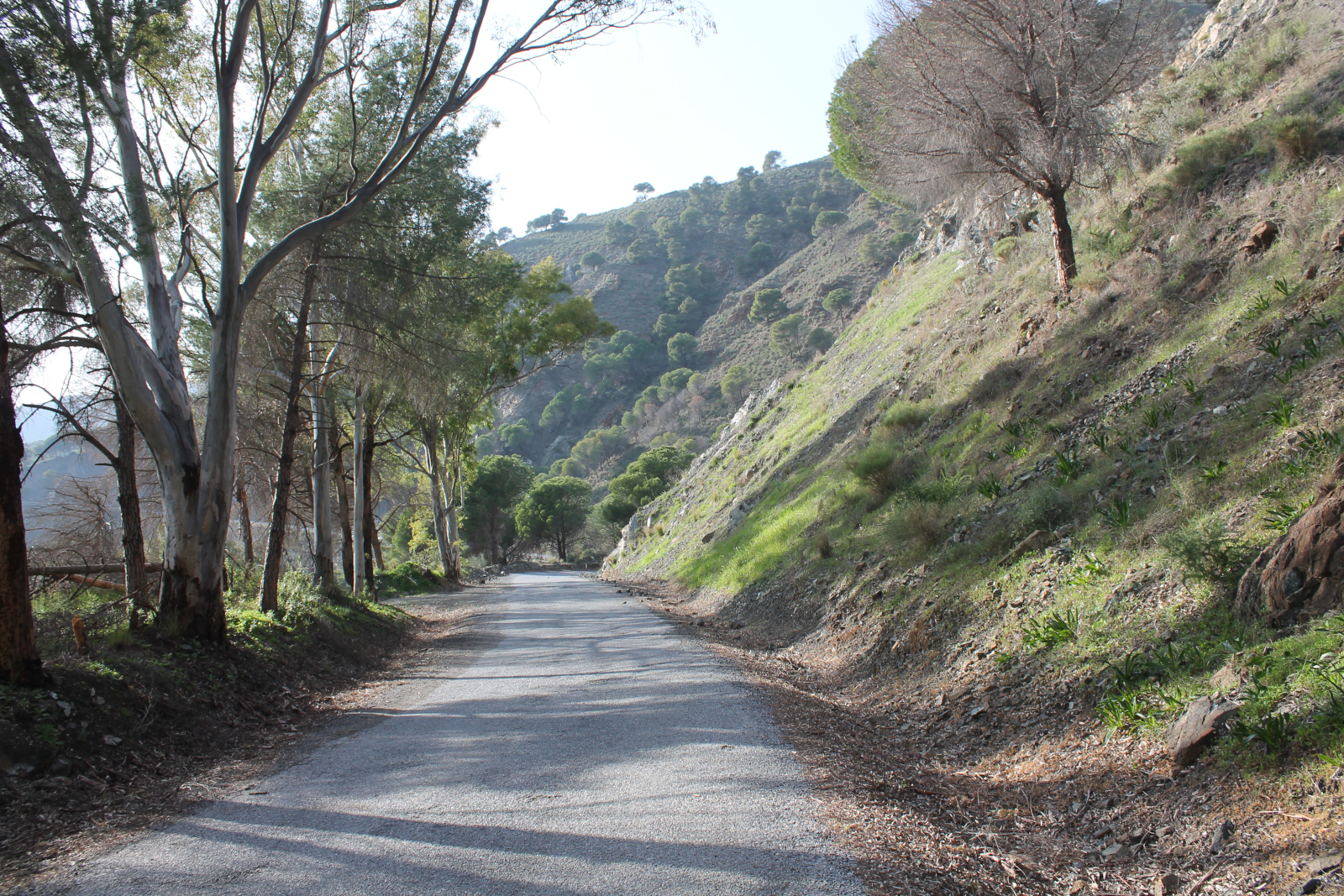 Landschaft Sierra de Aguas Málaga