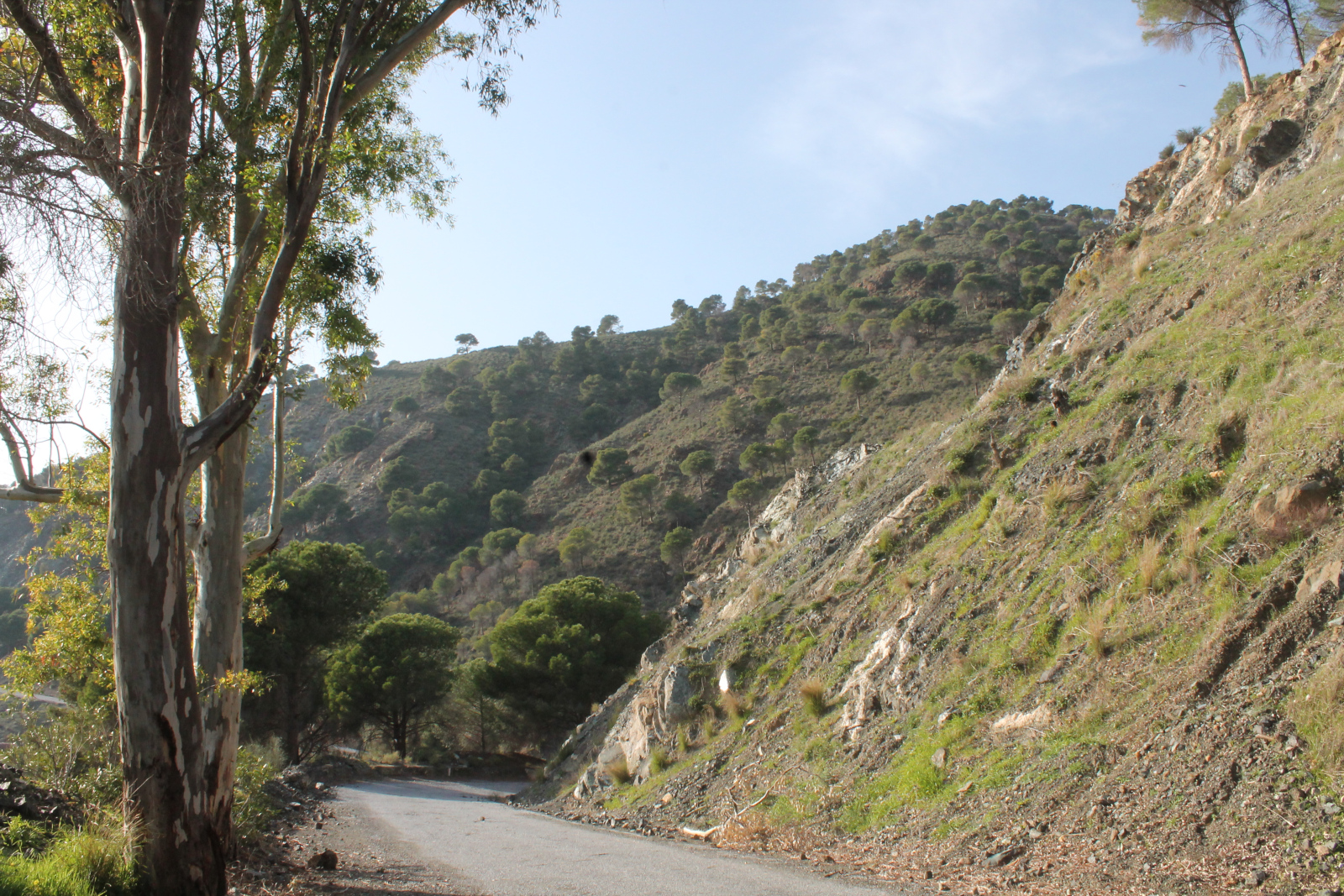 Natur entlang des Acceso Sierra de Aguas