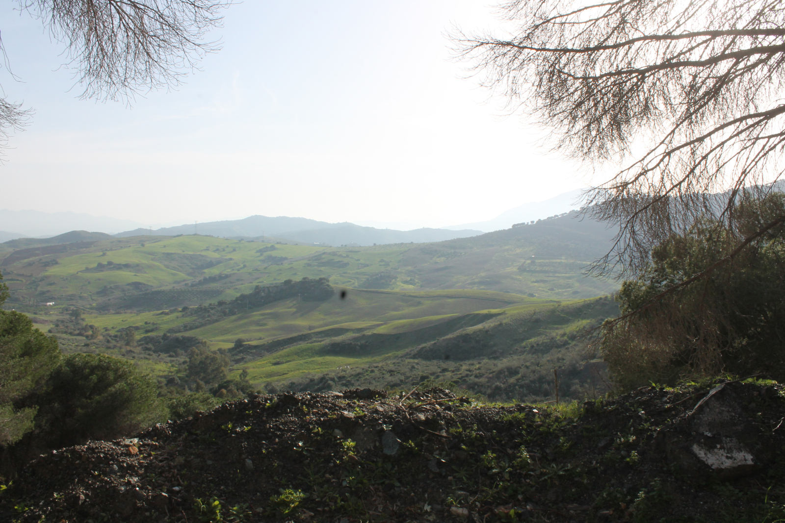 Berge und Täler bei Álora