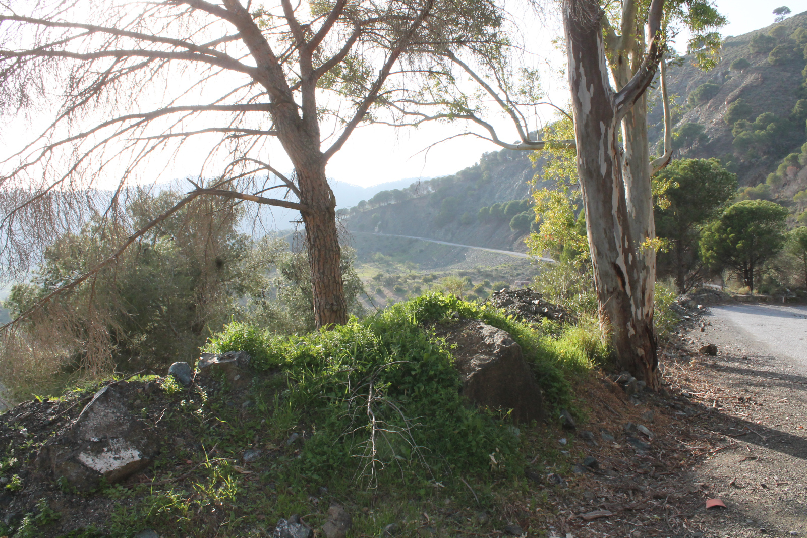 Natur und Aussicht Sierra de Aguas