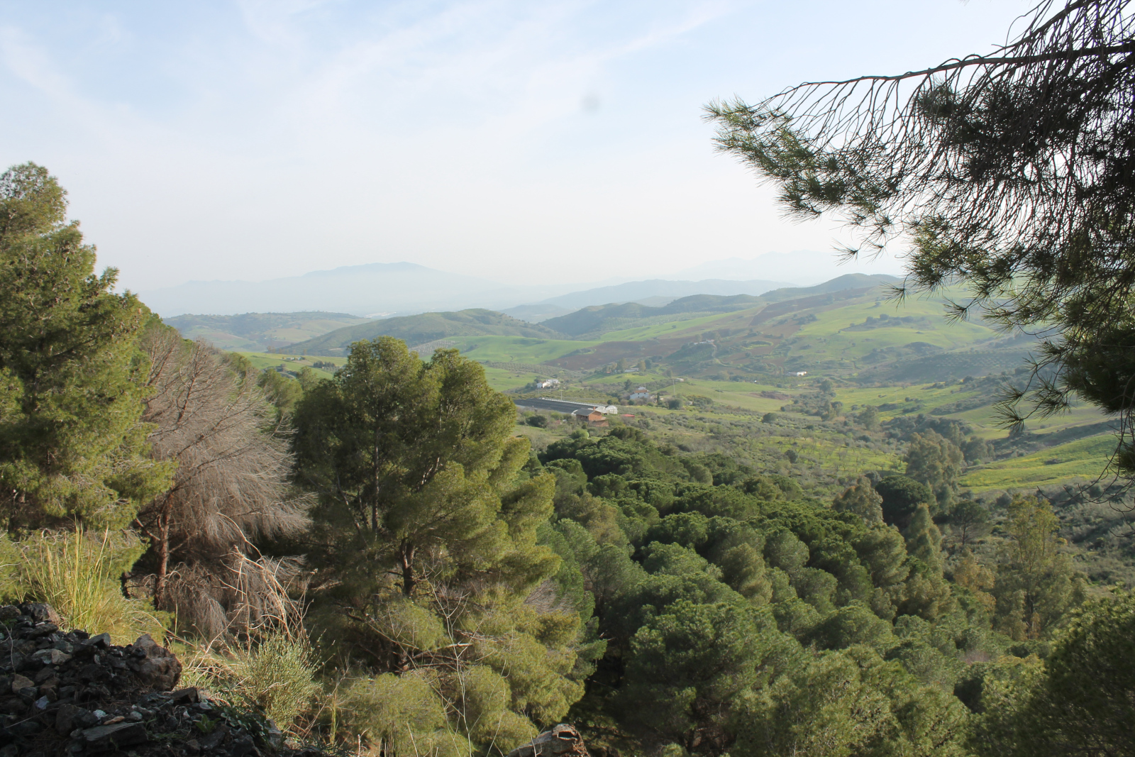 Landschaft bei Álora Andalusien