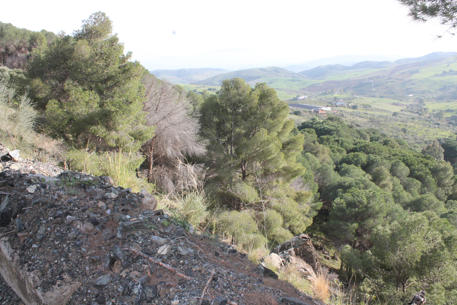Wanderweg in der Sierra de Aguas