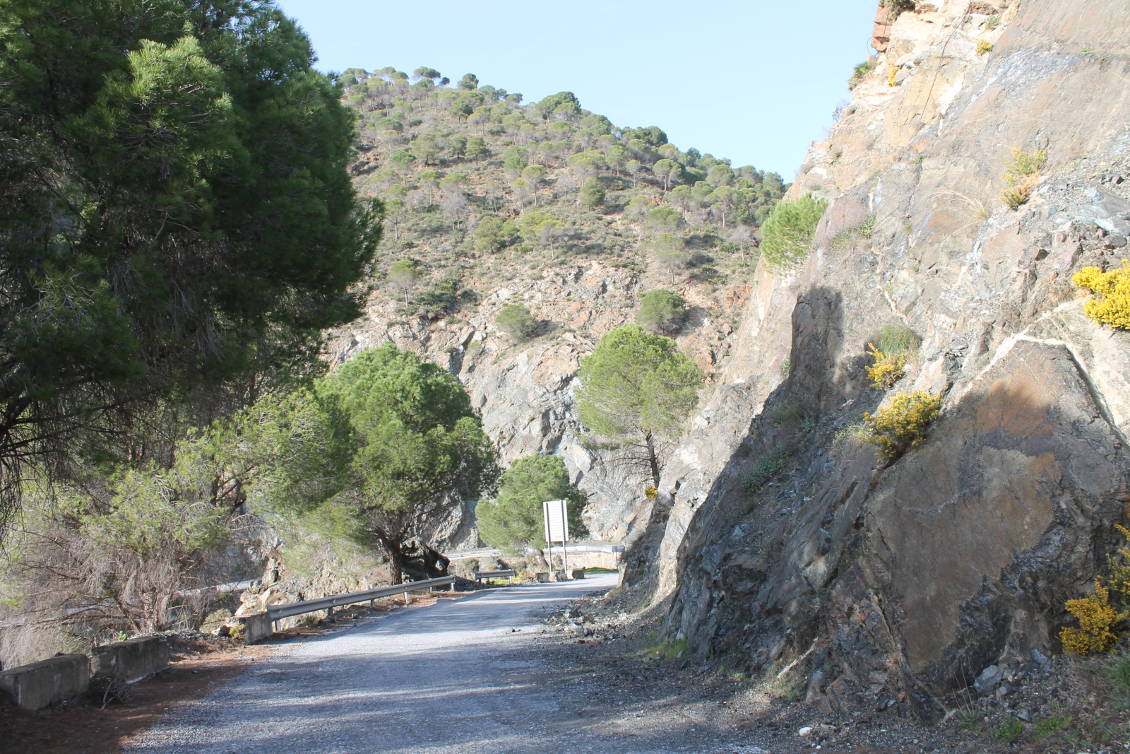 Naturwanderung bei Álora