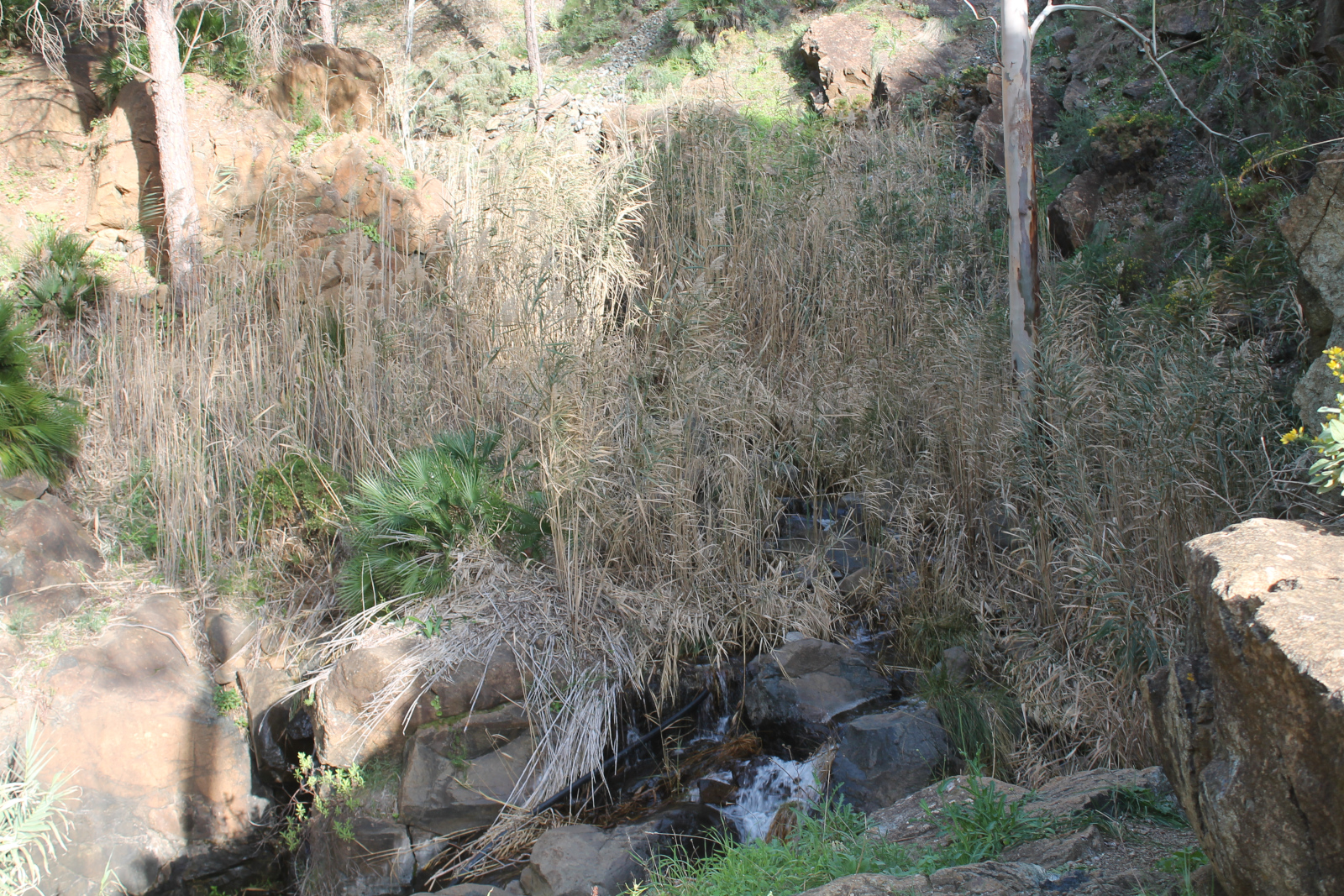 Landschaft rund um Álora