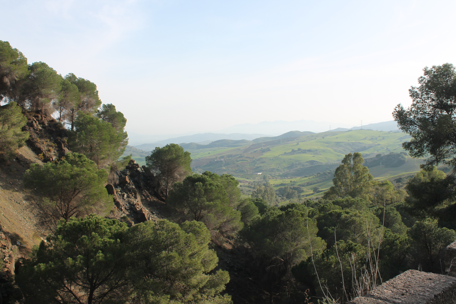 Blick über Álora und Umgebung