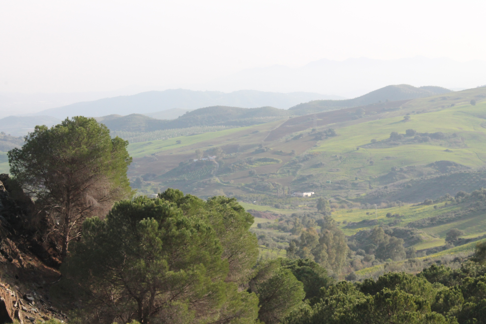 Wanderung Acceso Sierra de Aguas Málaga