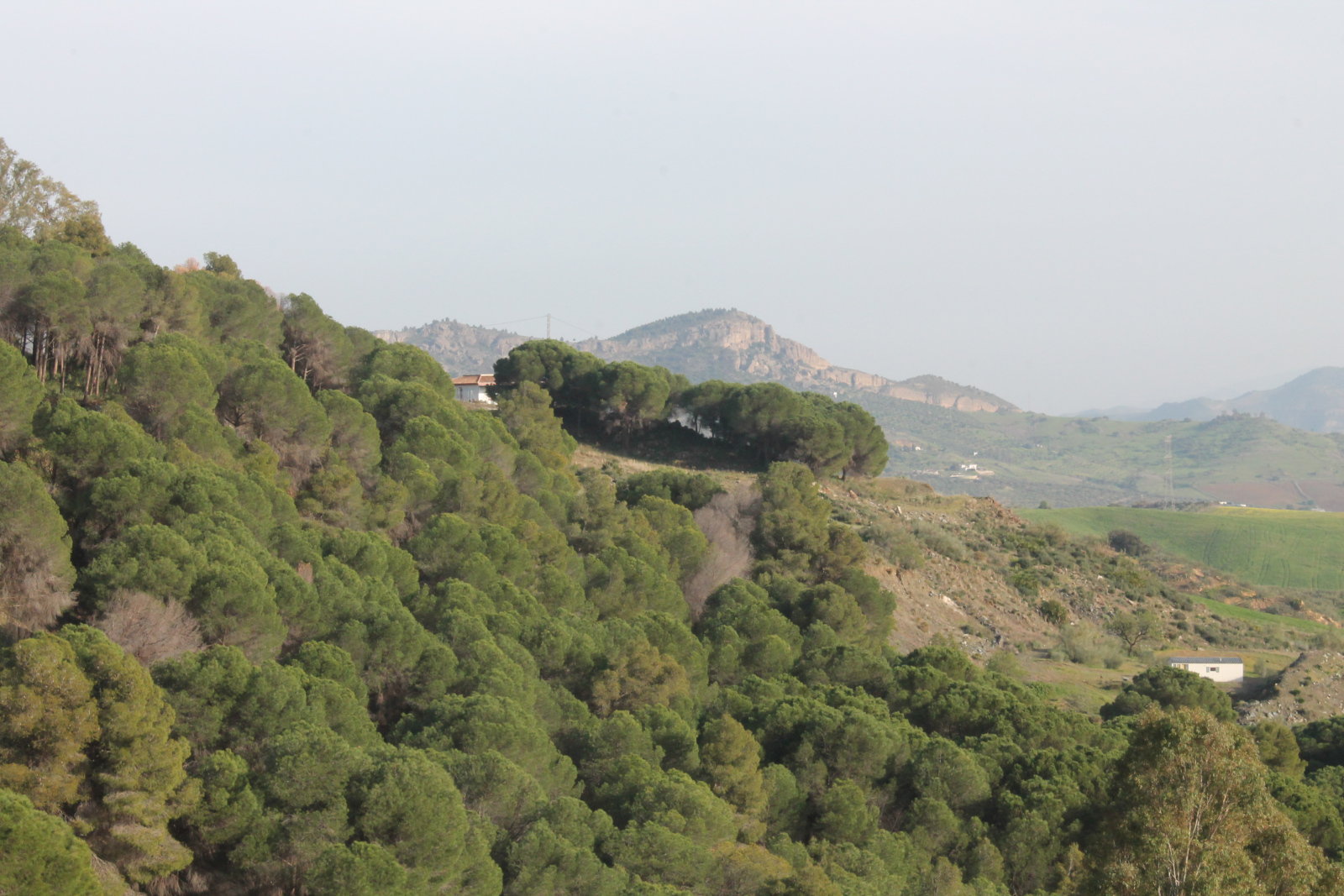 Berge bei Álora