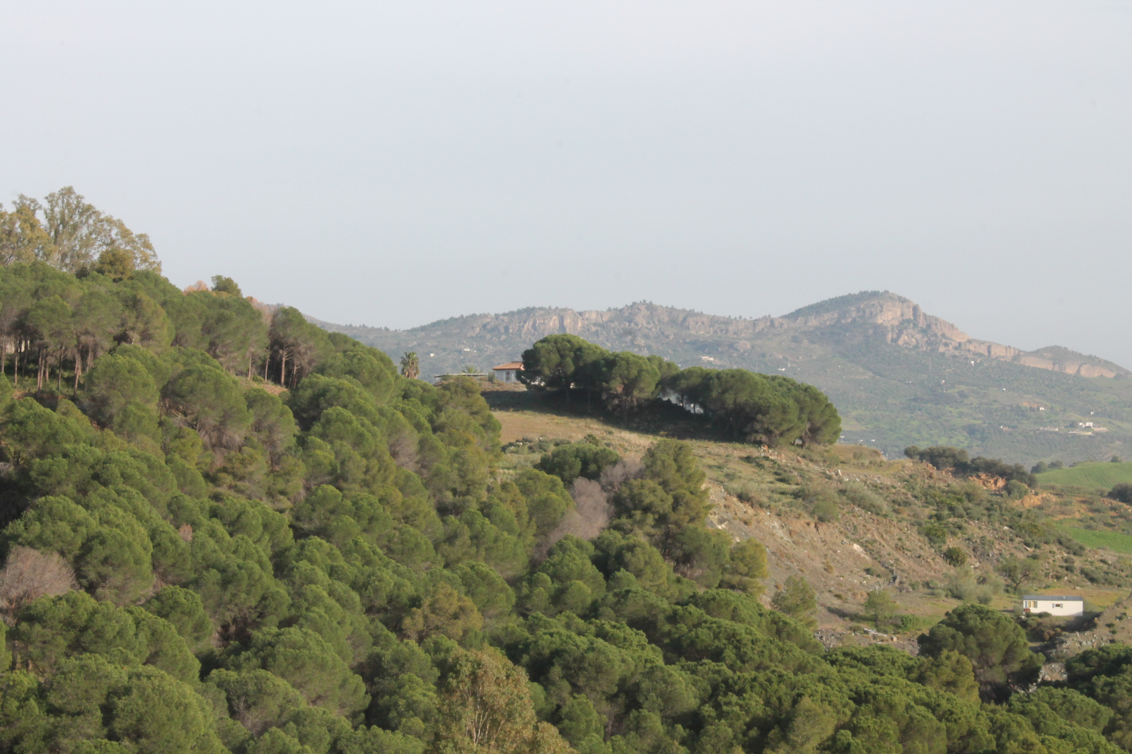 Sierra de Aguas Wanderung bei Álora