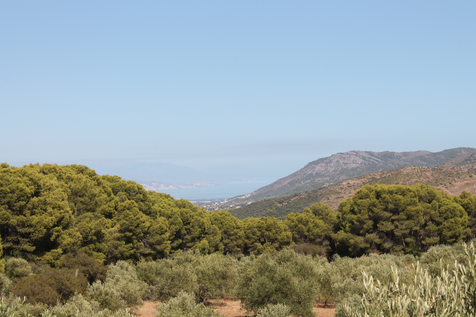 Fuente del Acebuche – Rundwanderung bei Alhaurín el Grande
