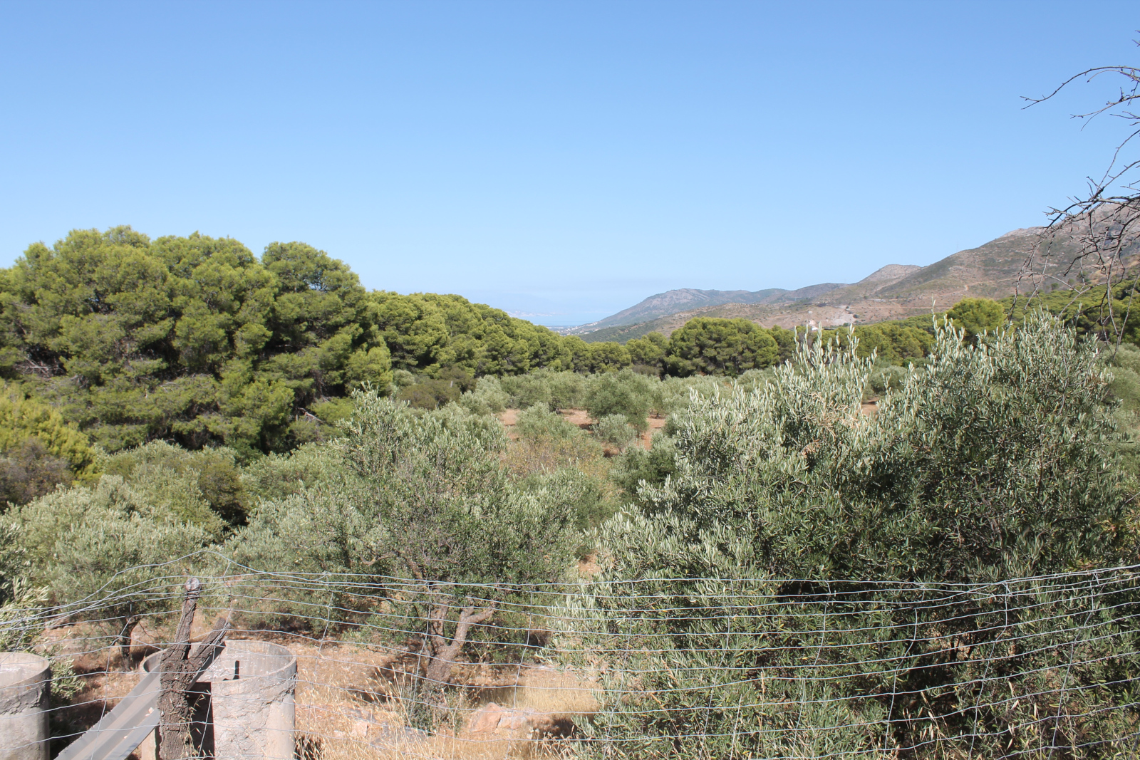 Wanderung zur Fuente del Acebuche in der Sierra de Mijas