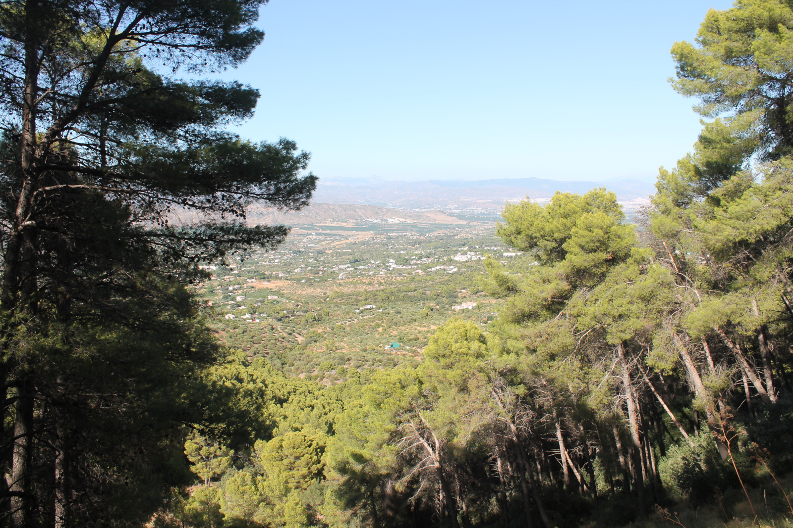 Landschaft bei der Fuente del Acebuche