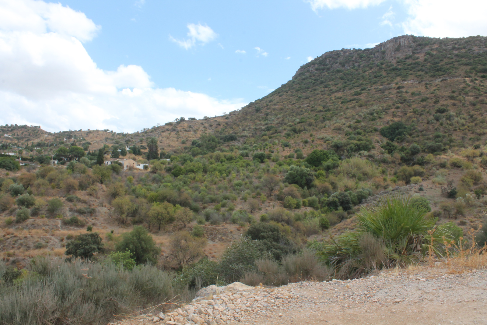 Wandern in der Sierra de los Espartales in Málaga