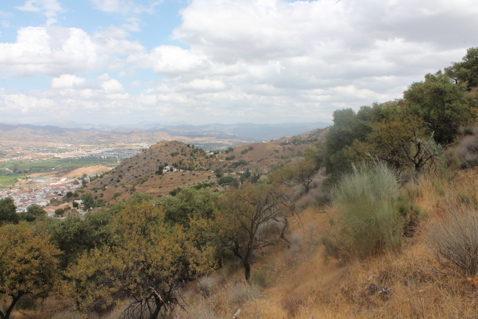 Sierra de los Espartales – Wanderung am 21. August 2026 – Foto 9