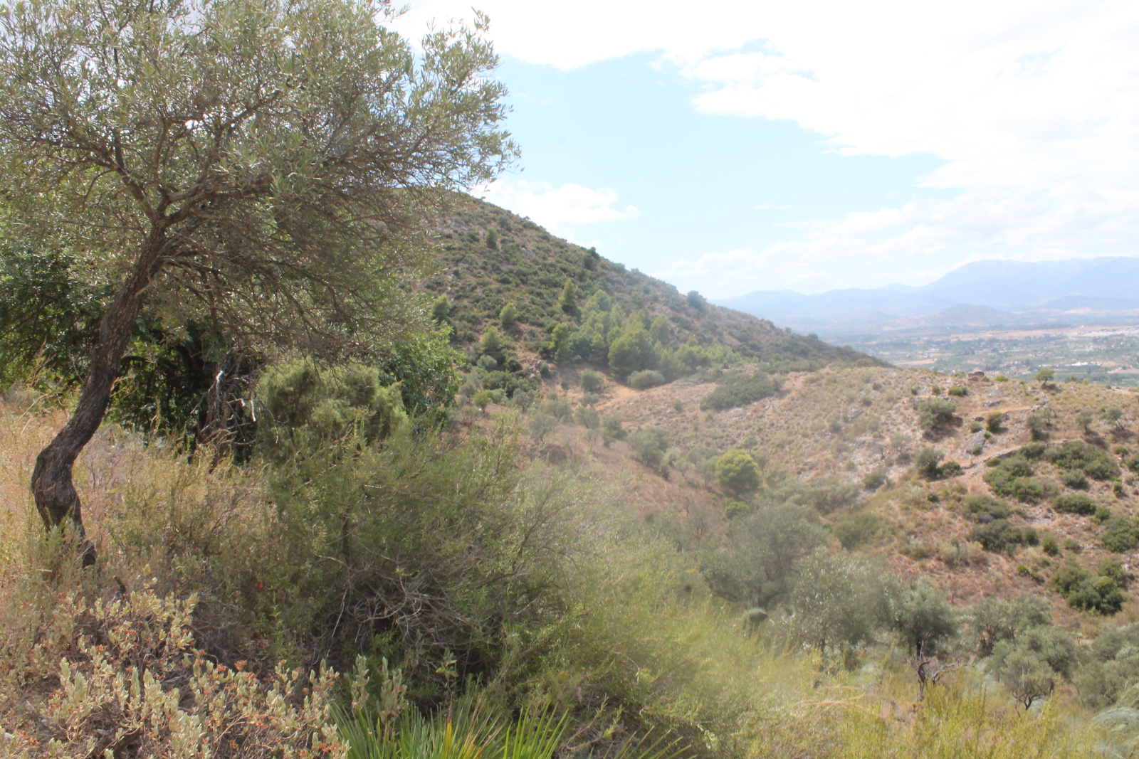 Sierra de los Espartales – Wanderung am 21. August 2026 – Foto 12