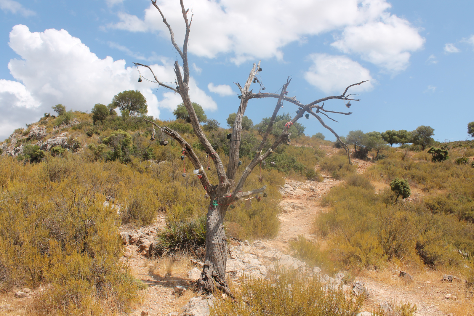 Sierra de los Espartales – Wanderung am 21. August 2026 – Foto 16