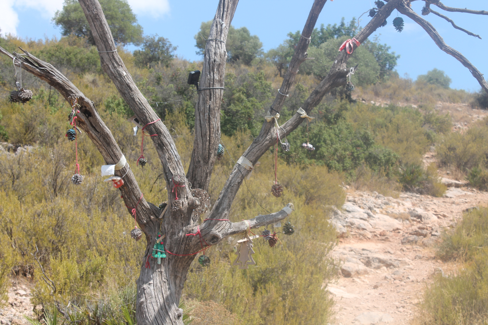Sierra de los Espartales – Wanderung am 21. August 2026 – Foto 17