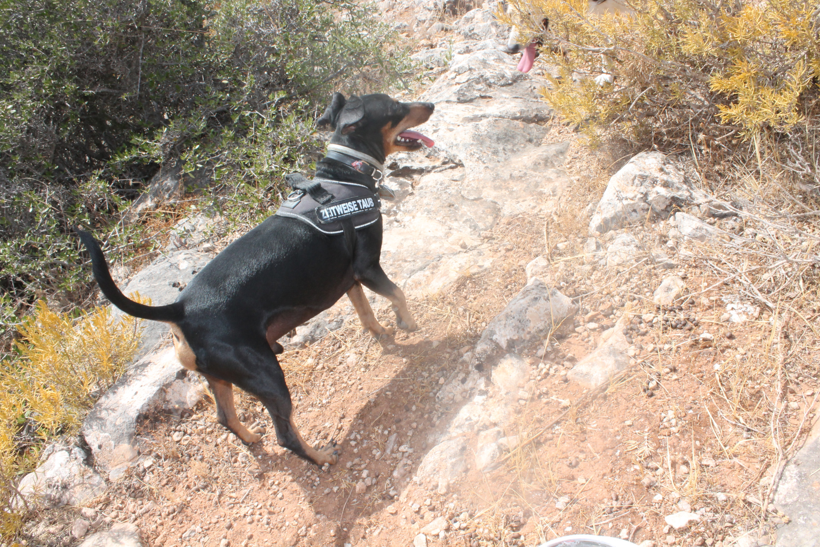 Sierra de los Espartales – Wanderung am 21. August 2026 – Foto 24