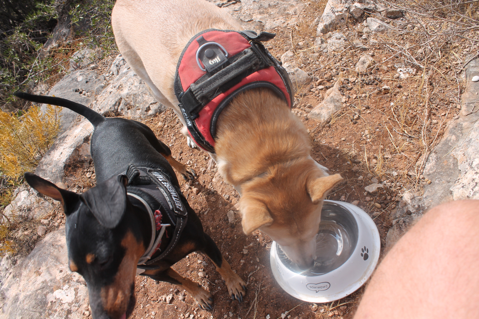 Sierra de los Espartales – Wanderung am 21. August 2026 – Foto 25