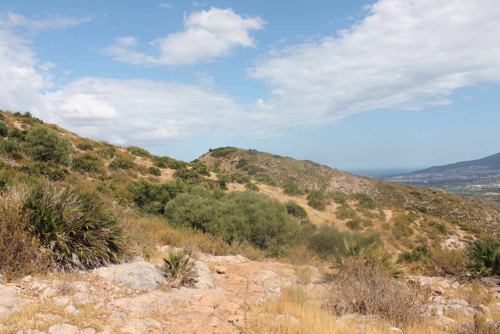 Sierra de los Espartales – Wanderung am 21. August 2026 – Foto 29