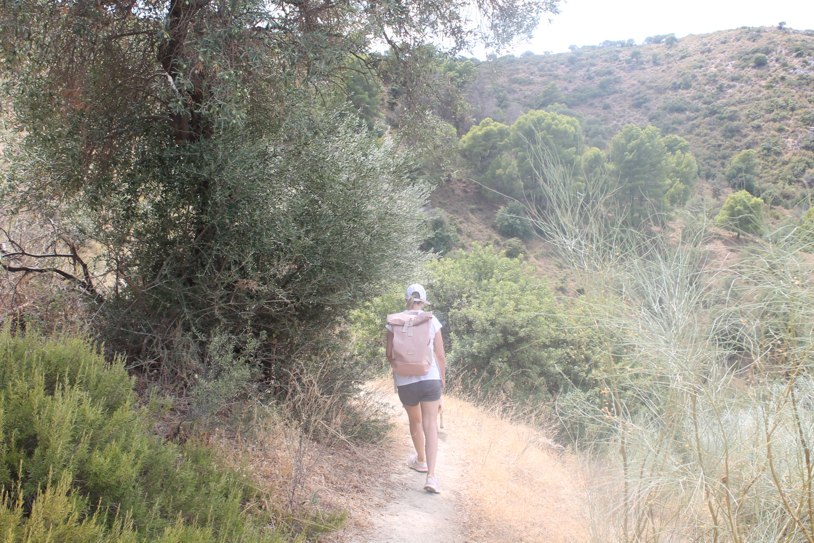 Sierra de los Espartales – Wanderung am 21. August 2026 – Foto 38