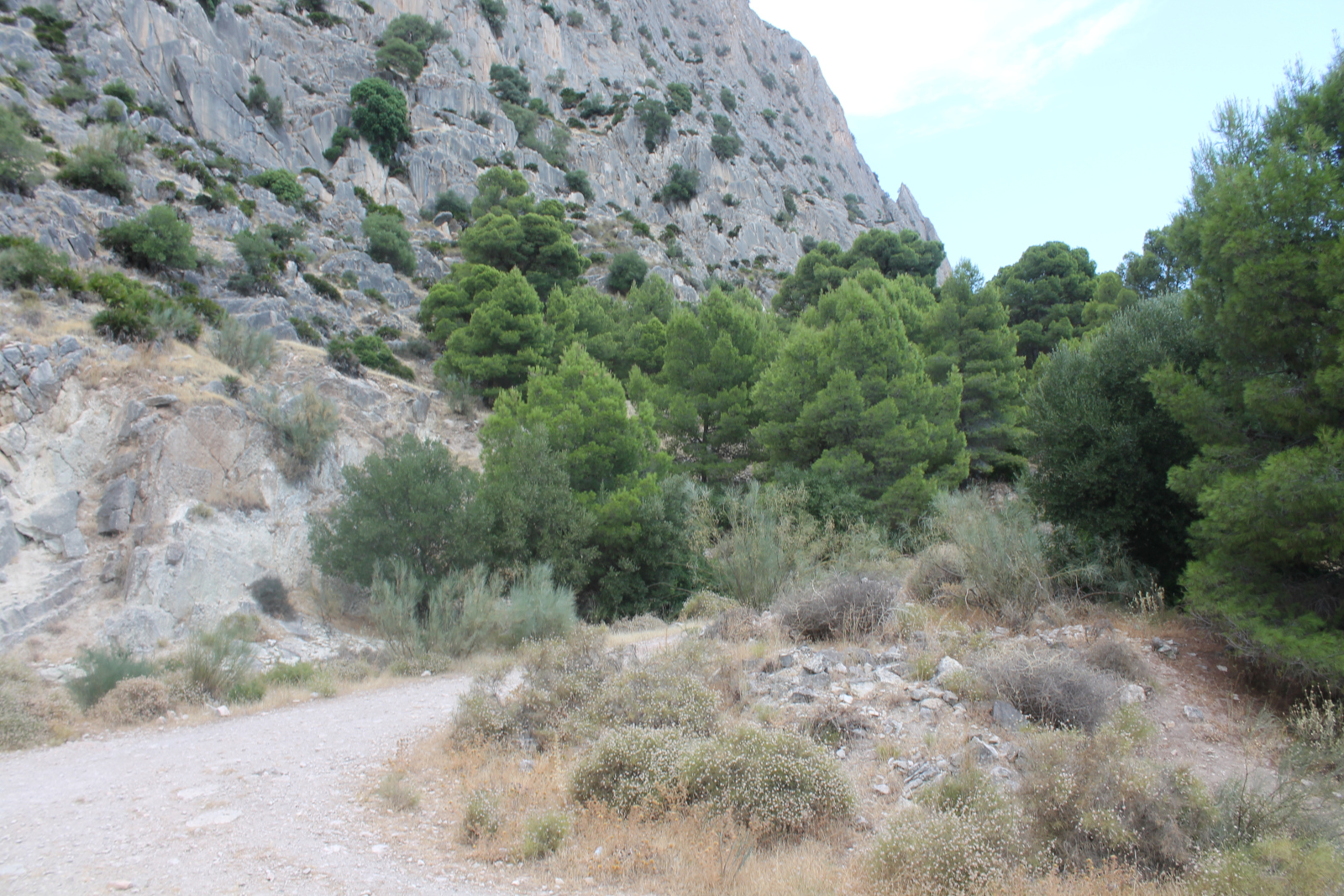 Arabische Treppe bei El Chorro