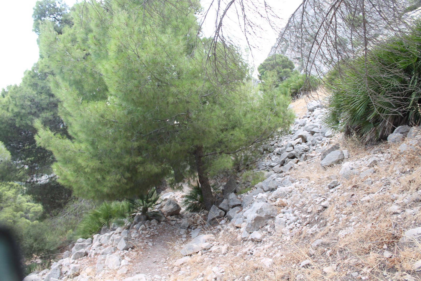 Arabische Treppe El Chorro – Foto 10