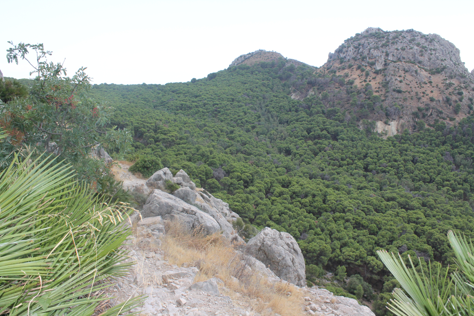 Arabische Treppe El Chorro – Foto 19